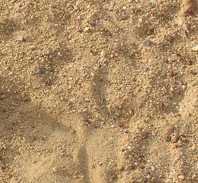 ПГС содержание гравия 20% песка 80%