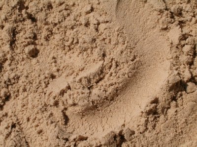Речной и строительный песок