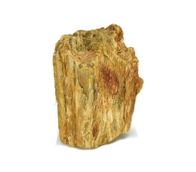 Натуральный камень "Окаменелое дерево" для оформления аквариумов и террариумов